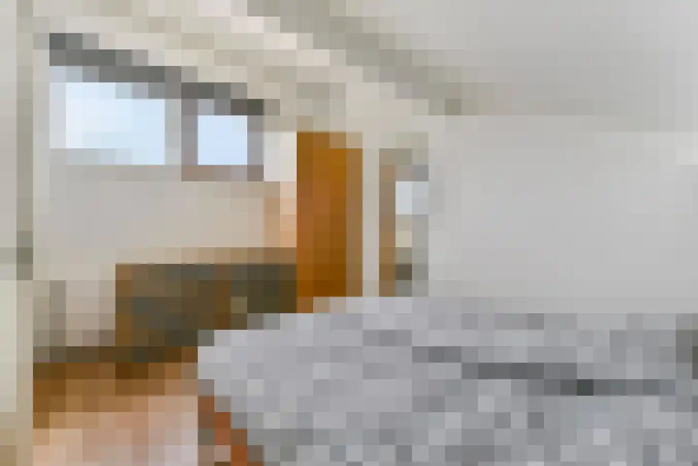 Gavel 5 Hooglanderveen thumbnail 37