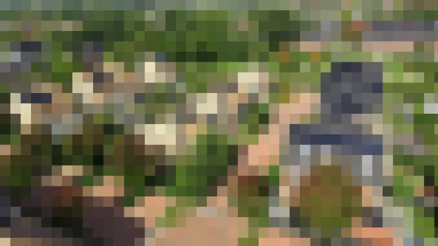 Gavel 5 Hooglanderveen thumbnail 38