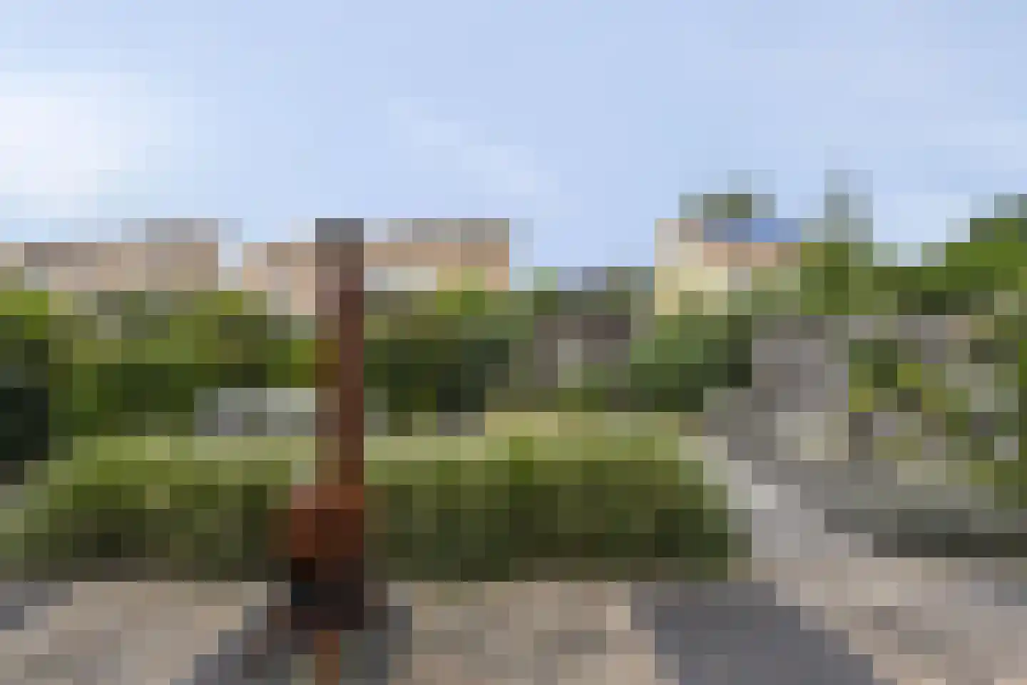 Gavel 5 Hooglanderveen thumbnail 42