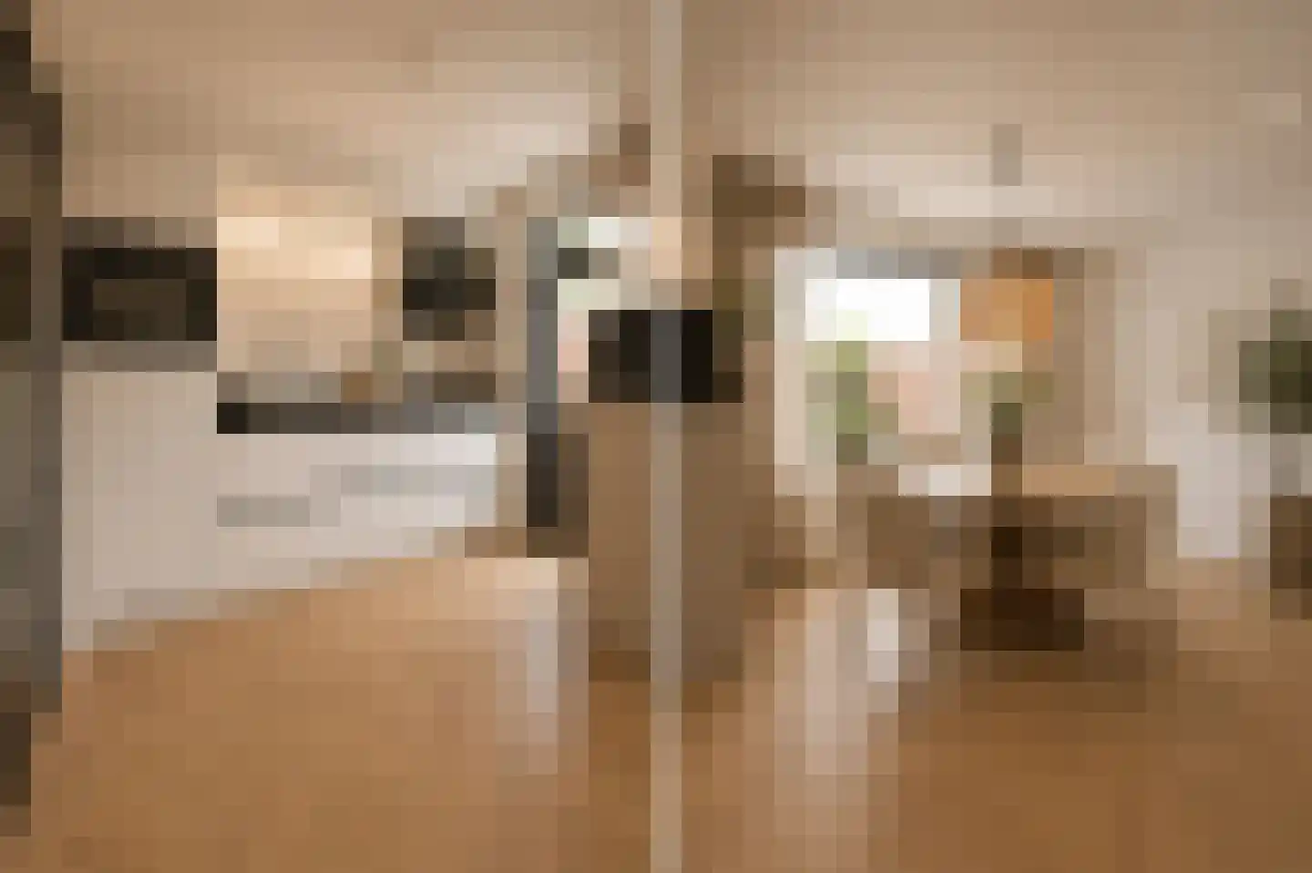 Gaverenhoek 14 Hoeven thumbnail 16