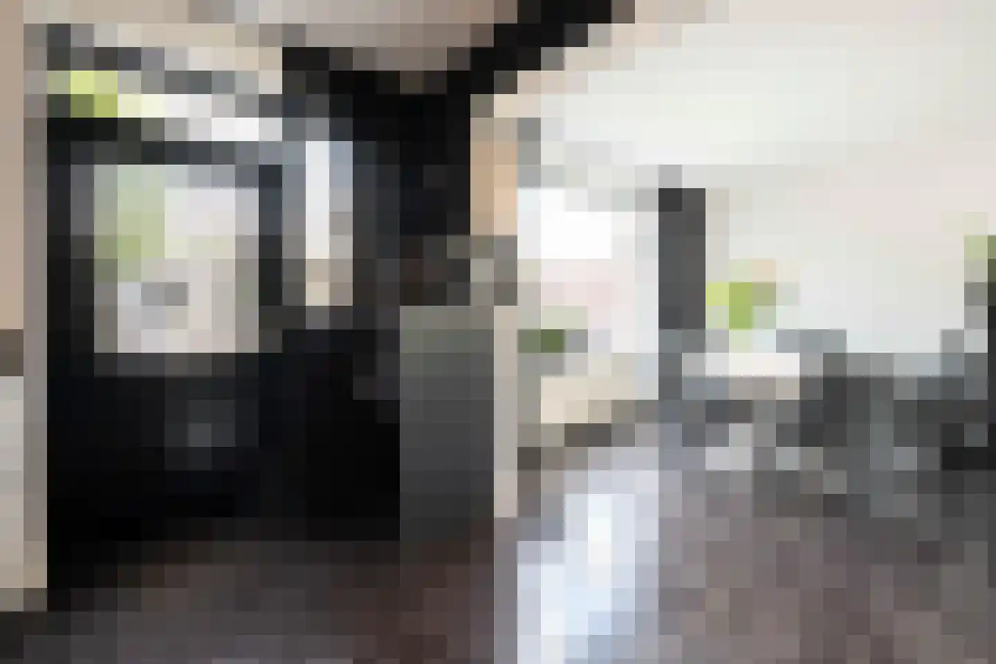 Gaverenhoek 14 Hoeven thumbnail 17