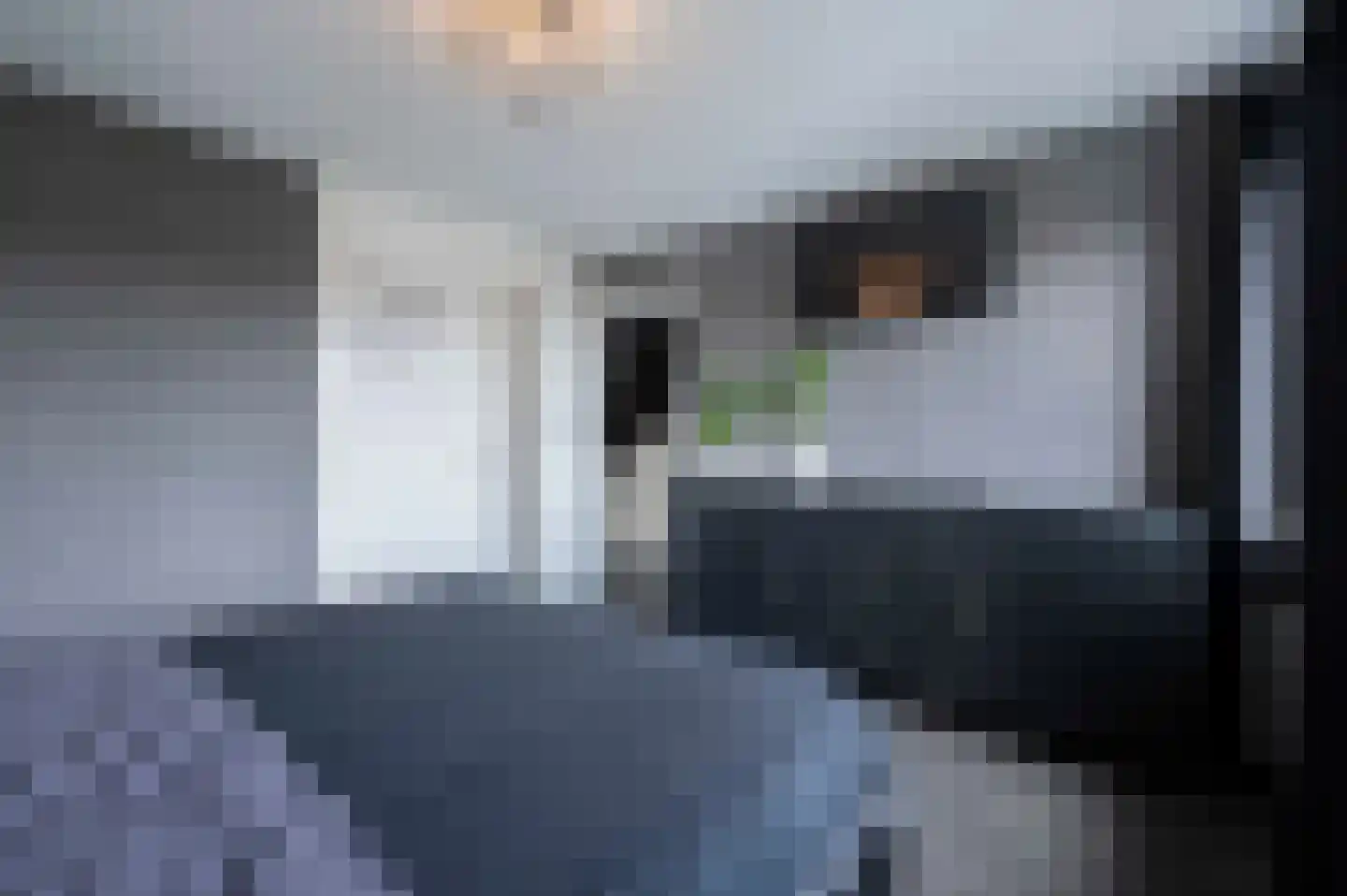 Gaverenhoek 14 Hoeven thumbnail 25