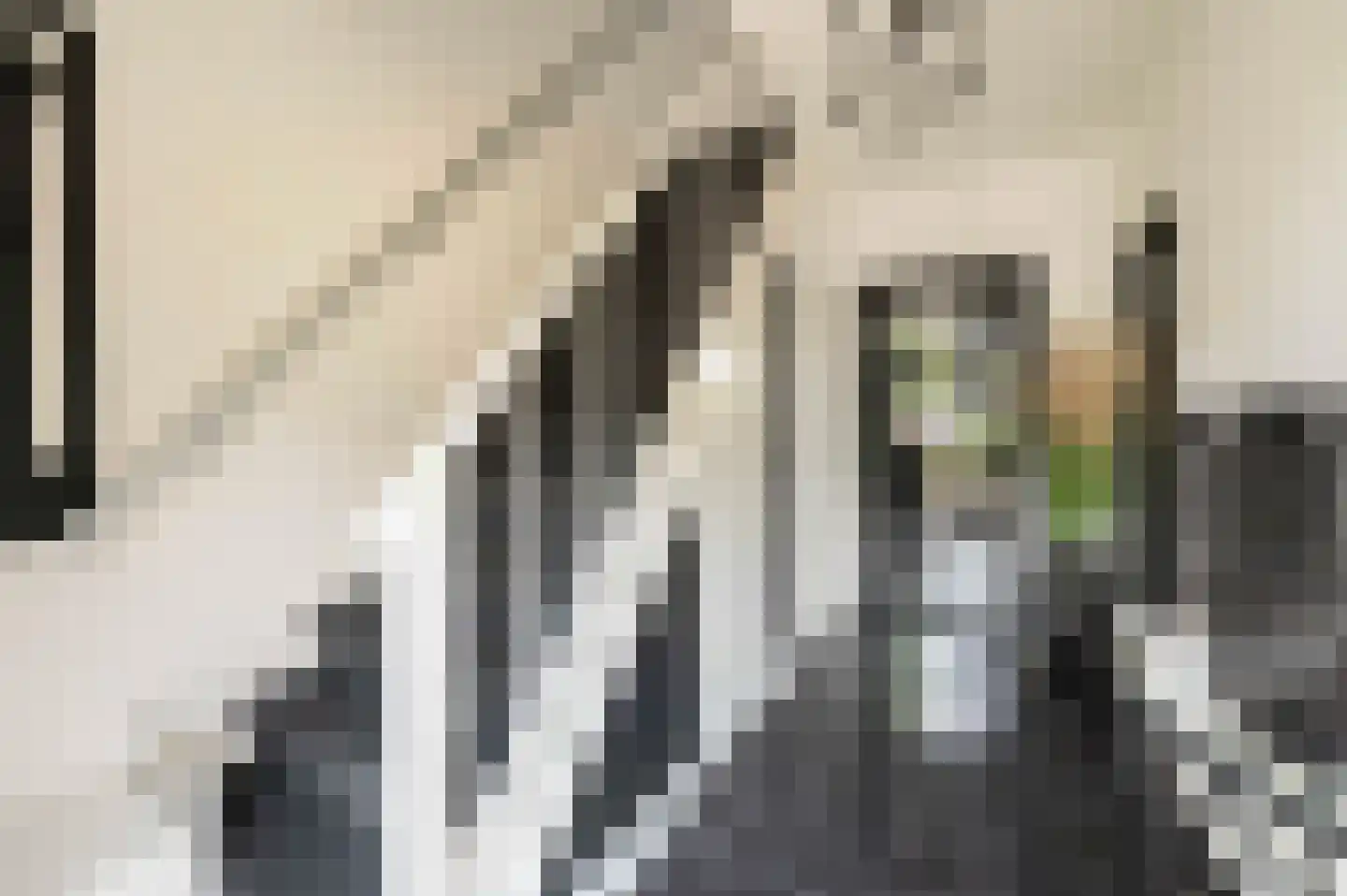 Gaverenhoek 14 Hoeven thumbnail 7