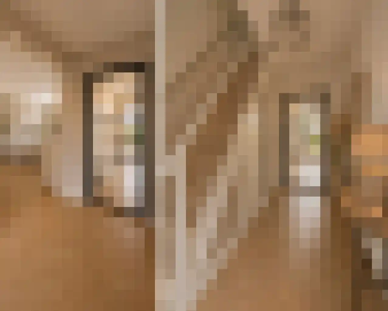 Gaverenhoek 14 Hoeven thumbnail 8
