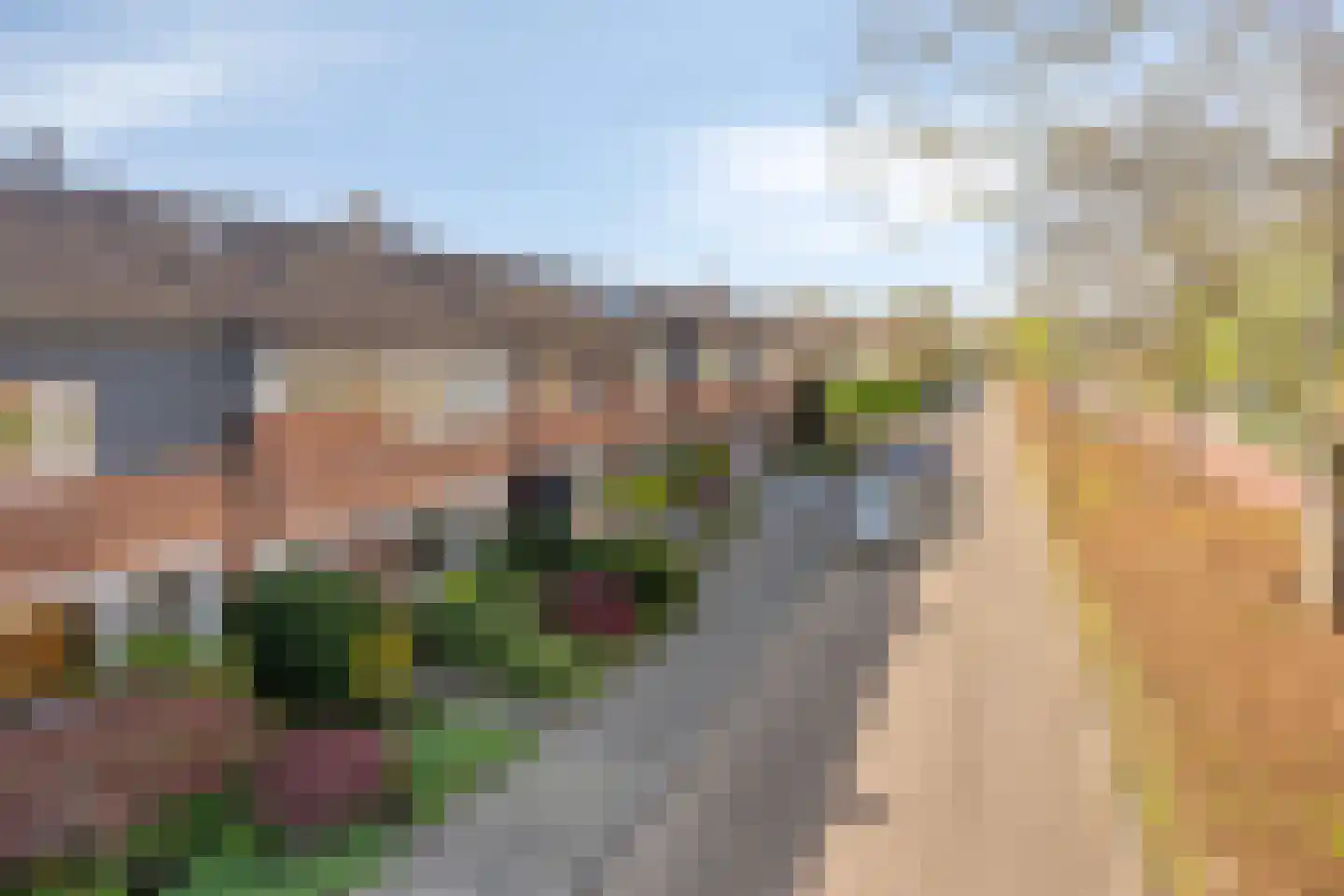 Gavottestraat 24 Apeldoorn thumbnail 19