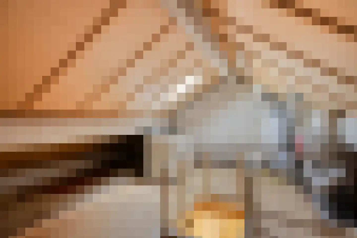 Gavottestraat 24 Apeldoorn thumbnail 21