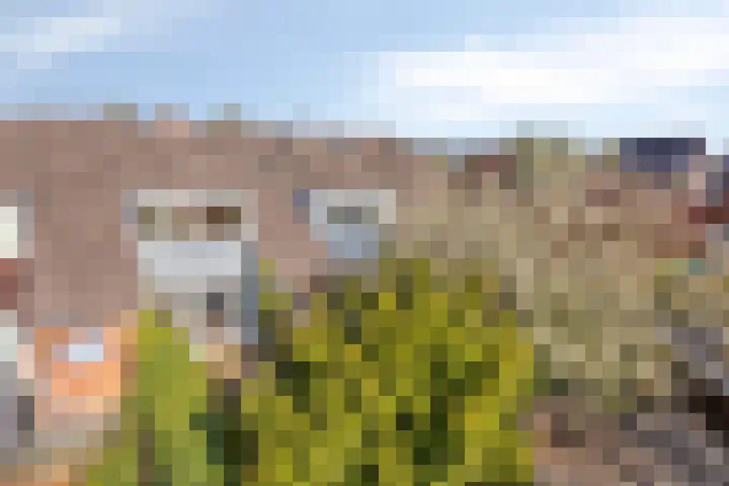 Gavottestraat 24 Apeldoorn thumbnail 22