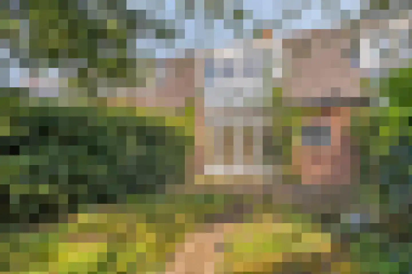 Gavottestraat 24 Apeldoorn thumbnail 23