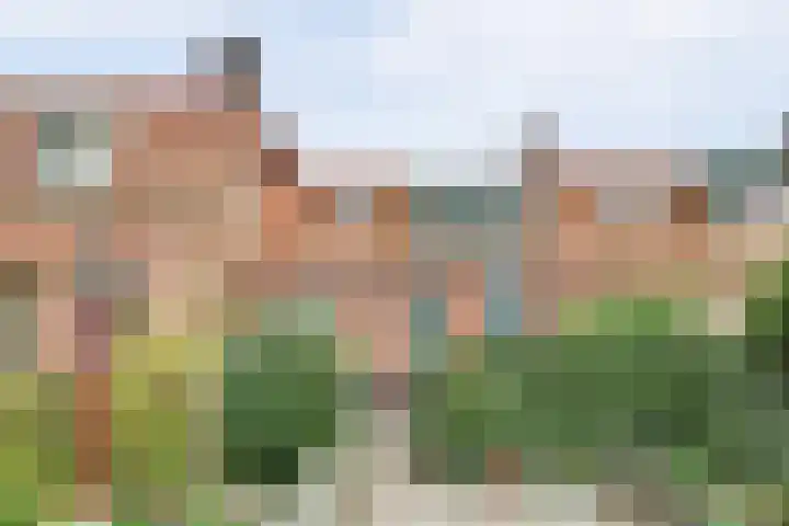 Gawege 22 dans Waarde