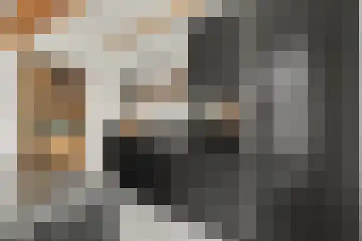 Gawege 22 Waarde thumbnail 11