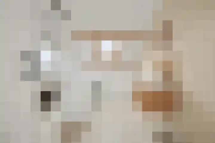 Gawege 22 Waarde thumbnail 17