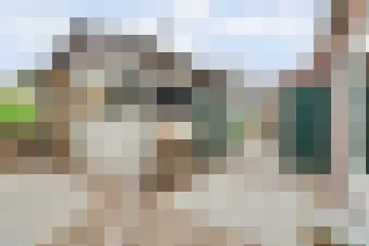 Gawege 22 Waarde thumbnail 22
