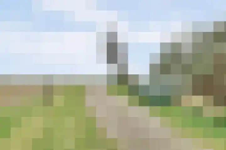 Gawege 22 Waarde thumbnail 23