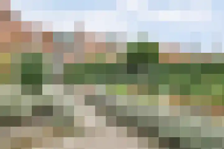 Gawege 22 Waarde thumbnail 24