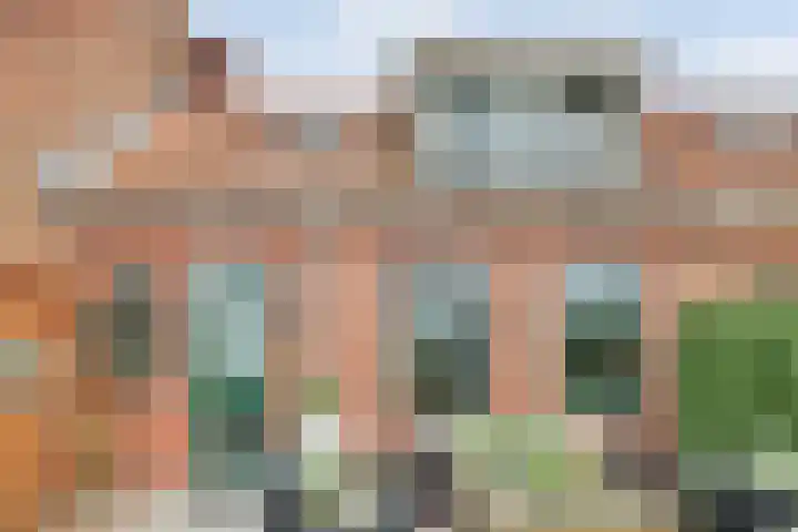 Gawege 22 Waarde thumbnail 25
