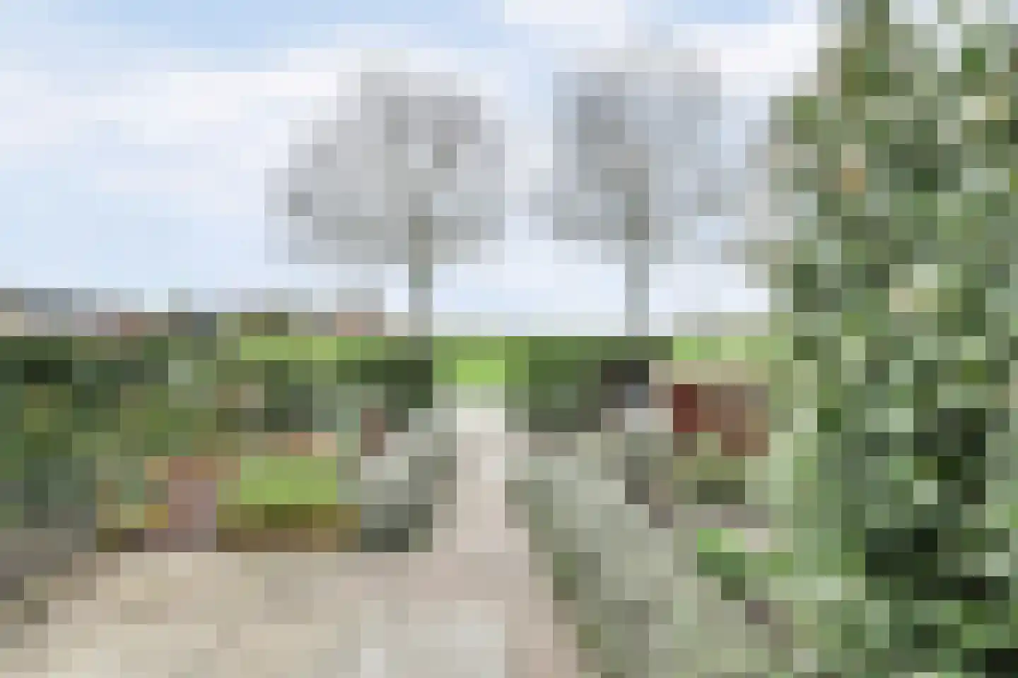 Gawege 22 Waarde thumbnail 27