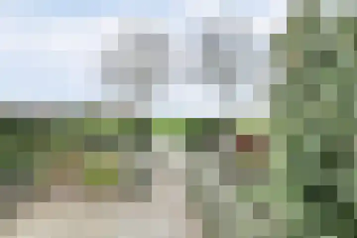 Gawege 22 Waarde thumbnail 27