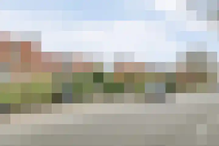 Gawege 22 Waarde thumbnail 28