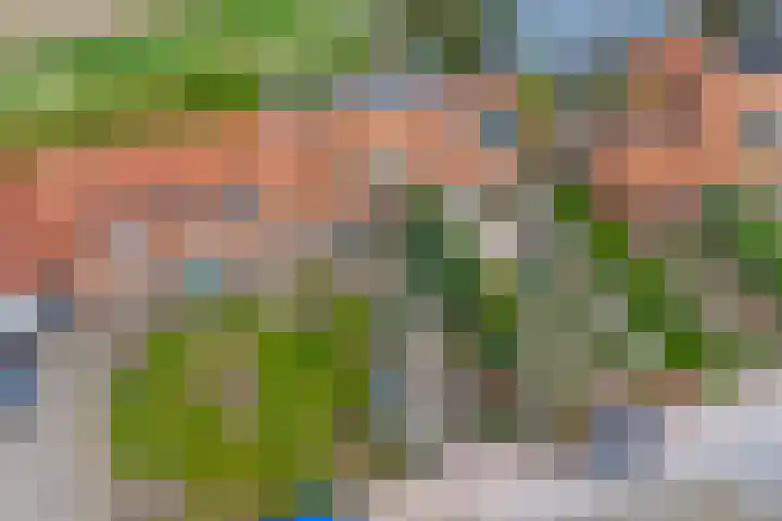 Gawege 22 Waarde thumbnail 29