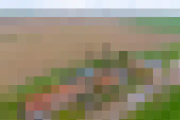 Gawege 22 Waarde foto 3