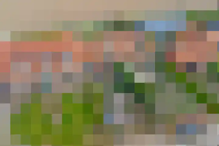 Gawege 22 Waarde thumbnail 30