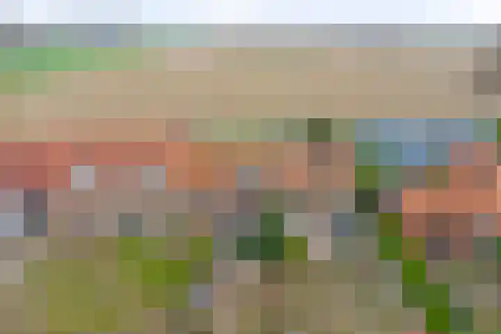 Gawege 22 Waarde thumbnail 31