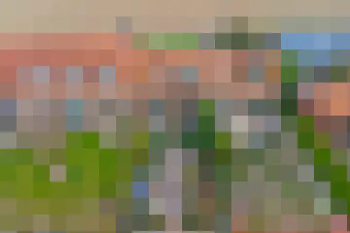 Gawege 22 Waarde thumbnail 32