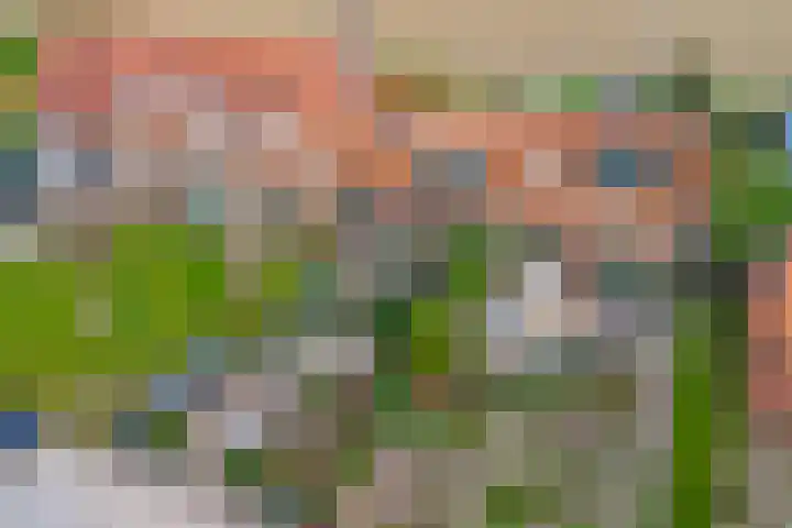 Gawege 22 Waarde thumbnail 33