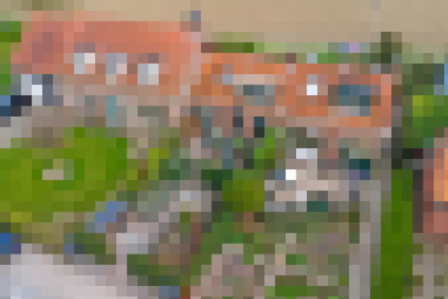 Gawege 22 Waarde thumbnail 33