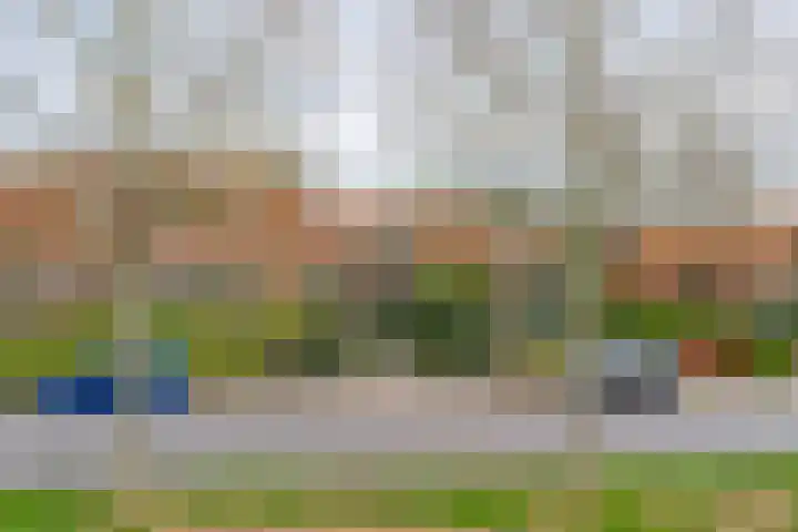 Gawege 22 Waarde thumbnail 34