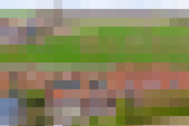 Gawege 22 Waarde thumbnail 35