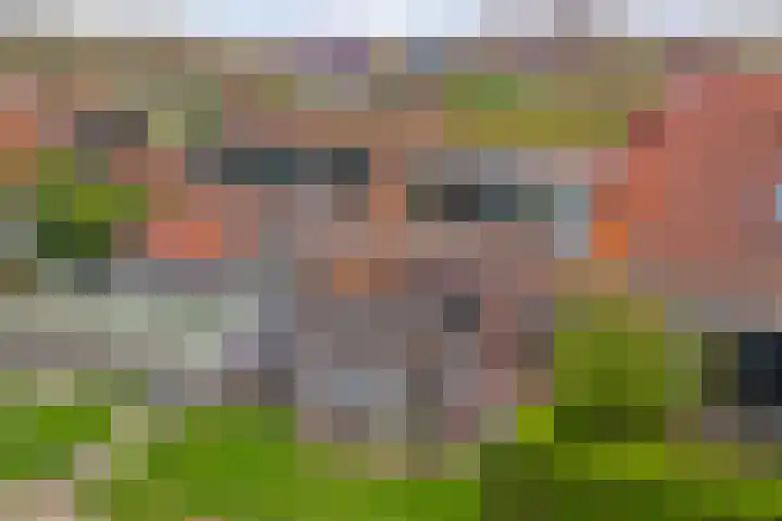 Gawege 22 Waarde thumbnail 37