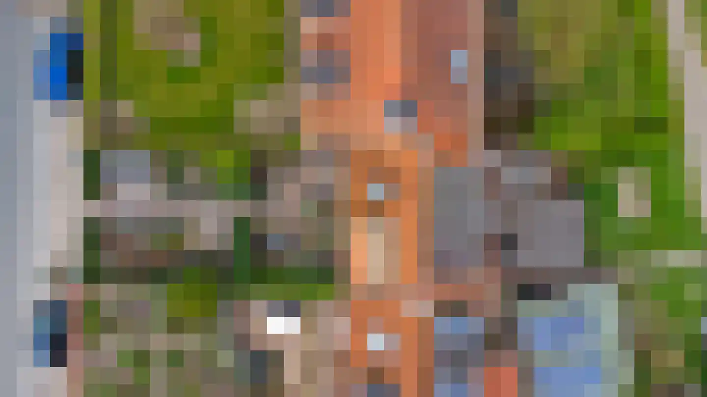Gawege 22 Waarde thumbnail 38