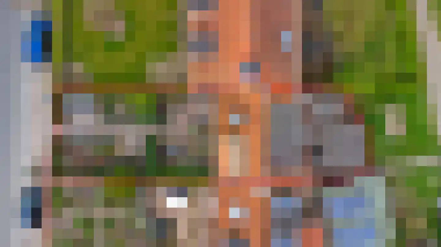 Gawege 22 Waarde thumbnail 39