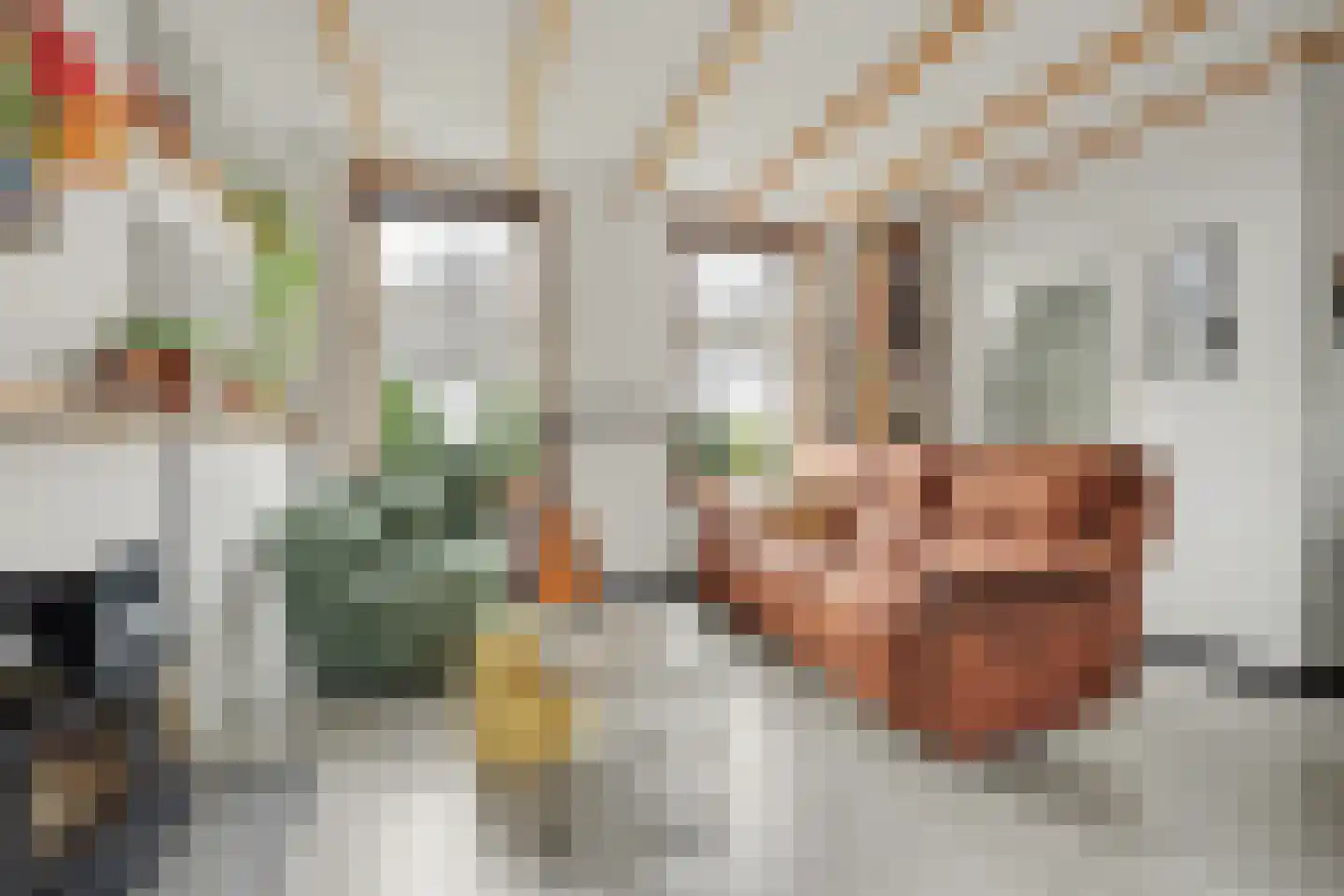 Gawege 22 Waarde thumbnail 5