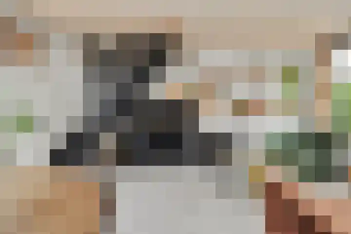 Gawege 22 Waarde thumbnail 7