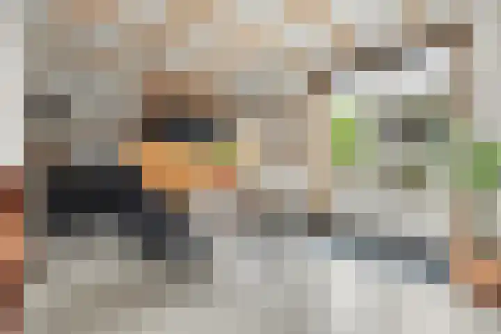 Gawege 22 Waarde thumbnail 8