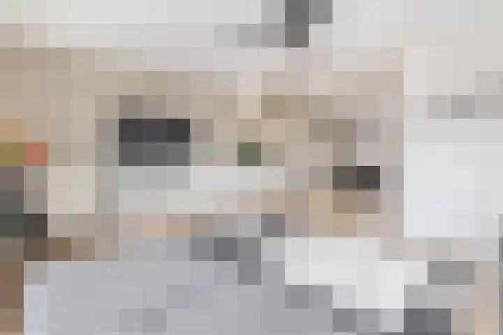 Gaykemastraat 6 Opende thumbnail 13