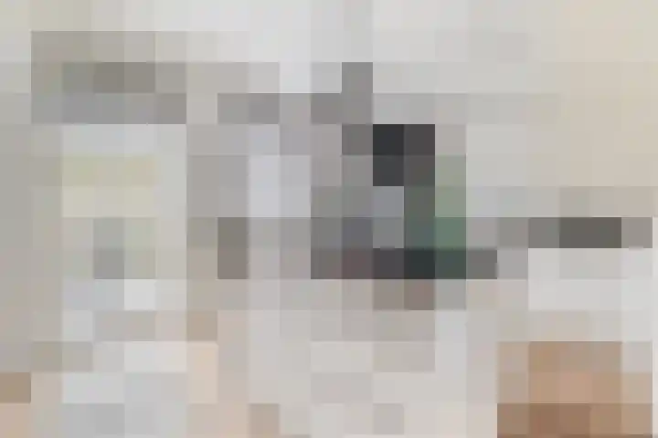 Gaykemastraat 6 Opende thumbnail 15