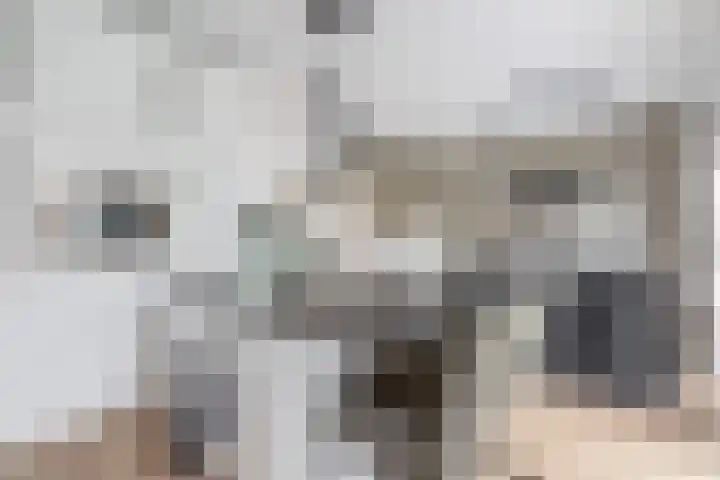Gaykemastraat 6 Opende thumbnail 17