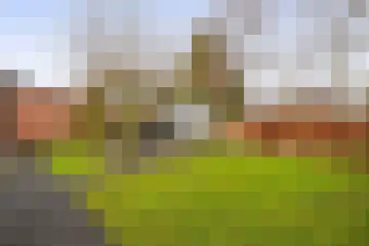 Gaykemastraat 6 Opende thumbnail 31