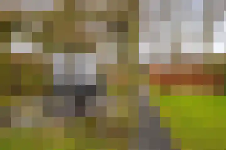 Gaykemastraat 6 Opende thumbnail 32