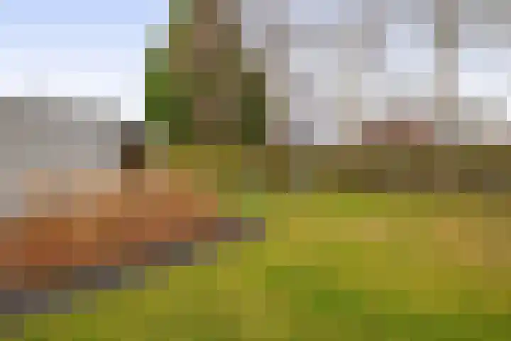 Gaykemastraat 6 Opende thumbnail 33