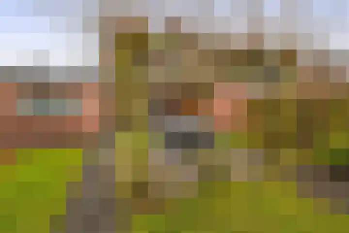 Gaykemastraat 6 Opende thumbnail 35