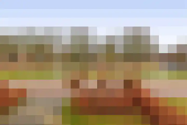 Gaykemastraat 6 Opende thumbnail 39