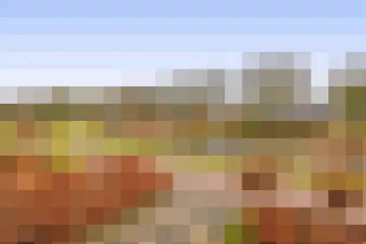 Gaykemastraat 6 Opende thumbnail 40