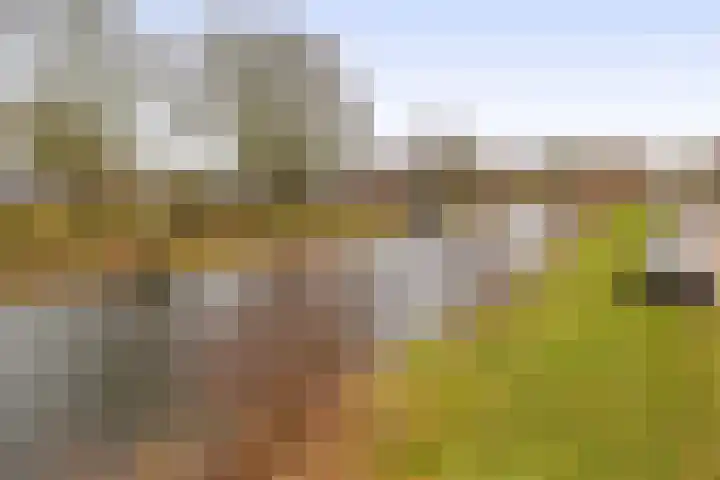 Gaykemastraat 6 Opende thumbnail 6