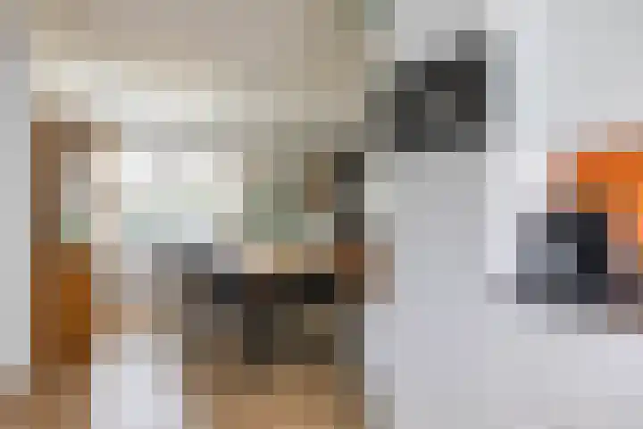 Gaykingastraat 14 Ten Boer thumbnail 18