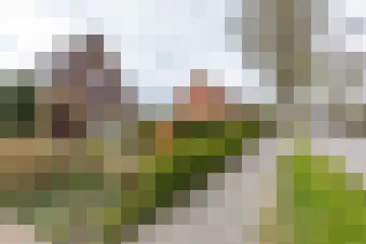 Gaykingastraat 14 Ten Boer foto 2
