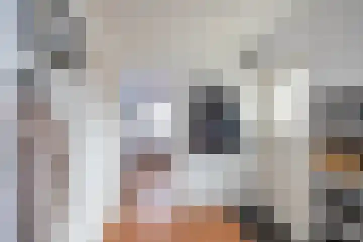 Gaykingastraat 14 Ten Boer thumbnail 21